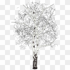 Line Art,plant,flora - Silver Birch Tree Clipart, HD Png Download - leafless tree png