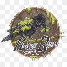 Illustration, HD Png Download - raven feather png