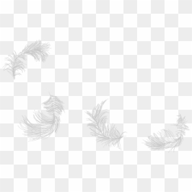 Sketch, HD Png Download - raven feather png