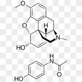 Co Codamol Chemical Structure, HD Png Download - tylenol png