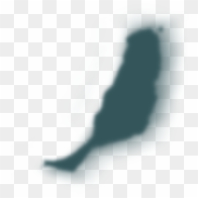 Shadow, HD Png Download - wave silhouette png