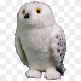 Hedwig 8” Plush - Harry Potter Hedwig Owl, HD Png Download - hedwig png