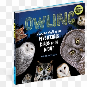 Cover - Owling (ebook), HD Png Download - hedwig png