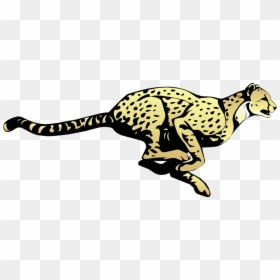 Cheetah, Running, Speed, Animal, Fast, Mammal, Spots, HD Png Download - fast png