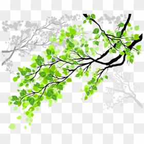 Transparent Tree Branch With Leaves Clipart - Cool Tree Branches With Leaves, HD Png Download - tree branches with leaves png