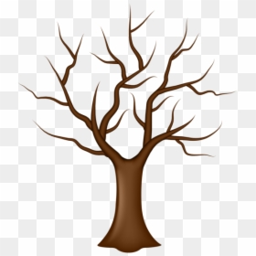 Tree Without Leaves Png Clip Art - Cartoon Tree With No Leaves, Transparent Png - tree branches with leaves png