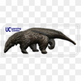 Replace This With Alt Text For The Above Image, Leave - Uci Anteater Statue, HD Png Download - uc browser png