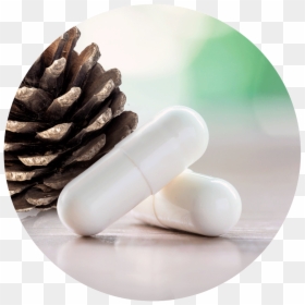 Vegan Capsule Shell - Pill, HD Png Download - medicine capsule png