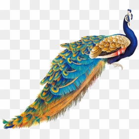 Transparent Background Peacock Png, Png Download - peacock png image
