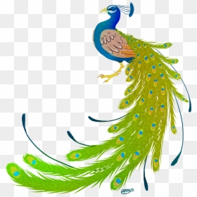 Transparent Peacock Png - High Resolution Peacock Png, Png Download - peacock png image