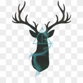 Reindeer Antlers Png Tumblr - Stag Harry Potter, Transparent Png - harry potter png tumblr