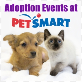 Petsmart, HD Png Download - petsmart png