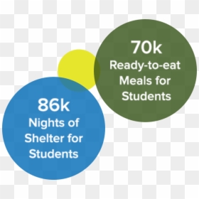 86k Nights Of Shelter For Students - Circle, HD Png Download - petsmart png