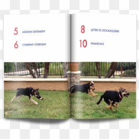 Dobermann, HD Png Download - petsmart png