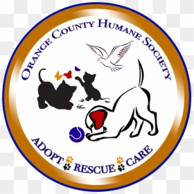 Orange County Humane Society Of Va - Puppy, HD Png Download - petsmart png
