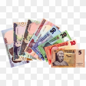 Hot Neigbourhood Business Ideas To Make Money - Currency Of Nigeria, HD Png Download - money symbols png
