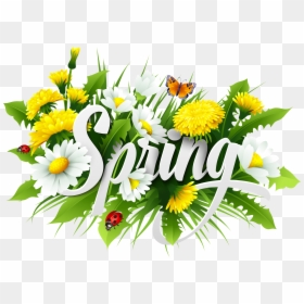 Spring Flower Bouquet Png Download - Camomile, Transparent Png - seasons png