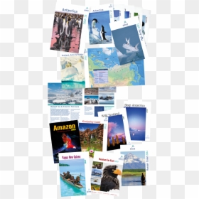 Tony Gordon Printcounsel Brochures Montage - Flyer, HD Png Download - montage png