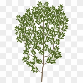 Tree Branch Leaf Texture Mapping Uv Mapping - Tree Branch Texture Png, Transparent Png - tree branch with leaves png