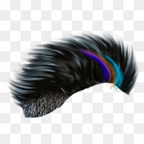 Sr Editing Zone - Hair Png Background Download, Transparent Png - cb edit hair png