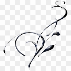 Swirl Abstract Black Satin Elegant Design Curved Shape - Elegant Designs Black And White, HD Png Download - black abstract design png