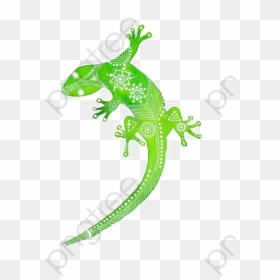 Cartoon Hand Painted Png - Dessin Gecko Vert, Transparent Png - vhv