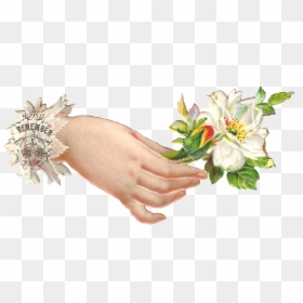 Flower In Hand Png, Transparent Png - welcome hand clipart png
