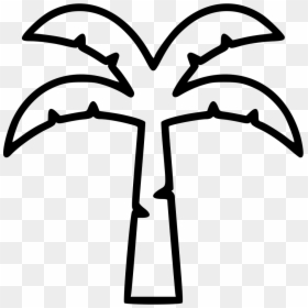 Coconut Tree - Outline Coconut, HD Png Download - coconut tree png image