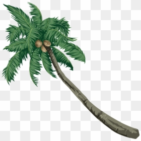 Coconut Clipart Coconut Palm Trees - Sea Beach Vector, HD Png Download - coconut tree clipart png