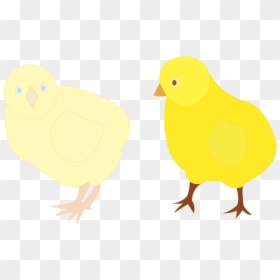 Chicks Figure Color Svg Clip Arts - Chicken, HD Png Download - chicks png
