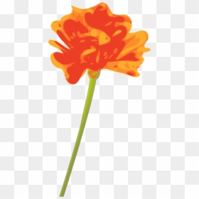 Orange Flower With Stem Transparent, HD Png Download - single flowers png