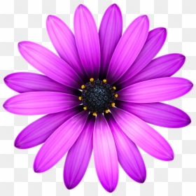 Clipart Transparent Background Flower, HD Png Download - single flowers png