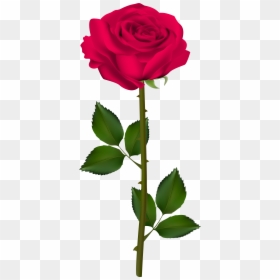 Clipart Rose Stick - Rose Transparent Background, HD Png Download - flower stick png