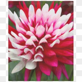 Dahlia, HD Png Download - dahlia flower png