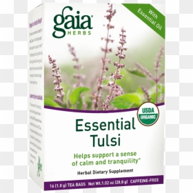 Medicinal Plant For Sinus, HD Png Download - tulsi tree png