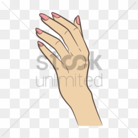 Female Hand Vector Png, Transparent Png - ladies finger png