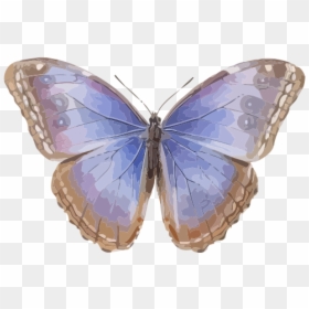 Menelaus Blue Morpho, HD Png Download - butterflies swarm png