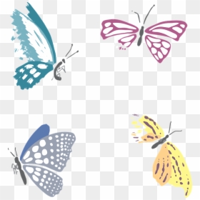 Butterfly, Dead, Death, Insect, Gloomy, Multi Color, HD Png Download - butterflies swarm png