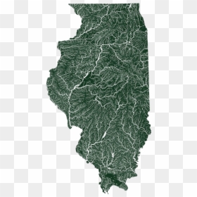 Midwest Vanlife Gathering, HD Png Download - tulsi tree png