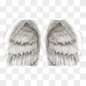 Hd Angel Wings Png , Png Download - Realistic Angel Wings Png, Transparent Png - wings png hd