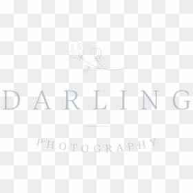Darling Photography, HD Png Download - photography png text