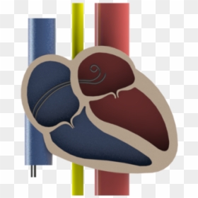 Graphic Design, HD Png Download - 3d heart symbol png