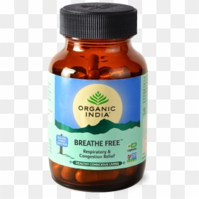 Organic India Breathe Free Capsules, HD Png Download - tulsi tree png