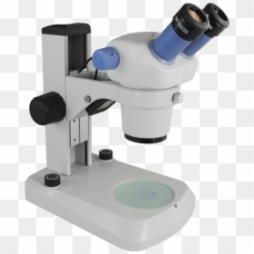 Ws4 Zoom Stereo Microscope, HD Png Download - microscope png images