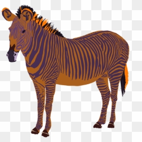 Zebra, HD Png Download - zebra png images