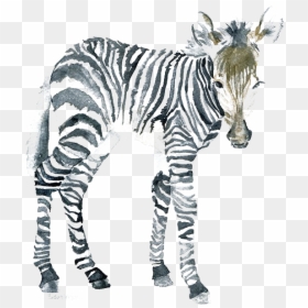 Zebra Watercolor Png, Transparent Png - zebra png images