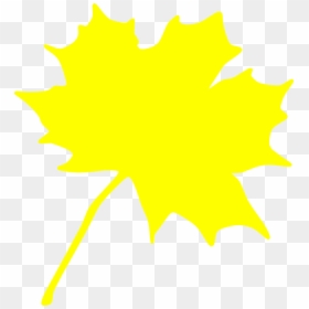 Common Core State Standards Initiative, HD Png Download - yellow leaf png