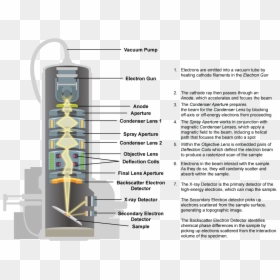 Scanning Electron Microscope - Parts Of Scanning Electron Microscope, HD Png Download - microscope png images