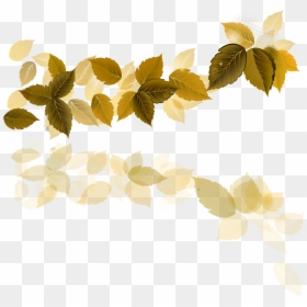 Rain Vector Flower - Vector Graphics, HD Png Download - yellow leaf png