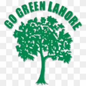 Tree, HD Png Download - gulmohar tree png